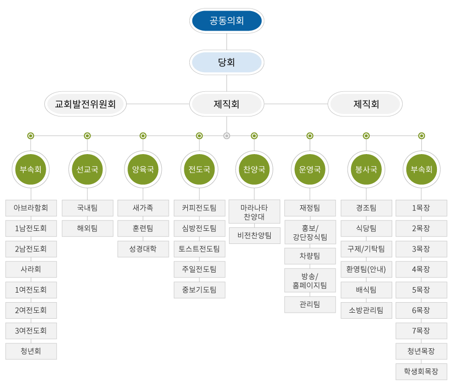 교회조직도